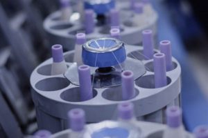 12863743-b2a4-4798-9d12-f2a2b6c5e93c 12863743-b2a4-4798-9d12-f2a2b6c5e93c