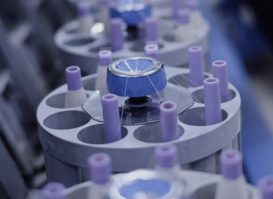 WhatsApp Image 2026-03-11 at 14.26.20